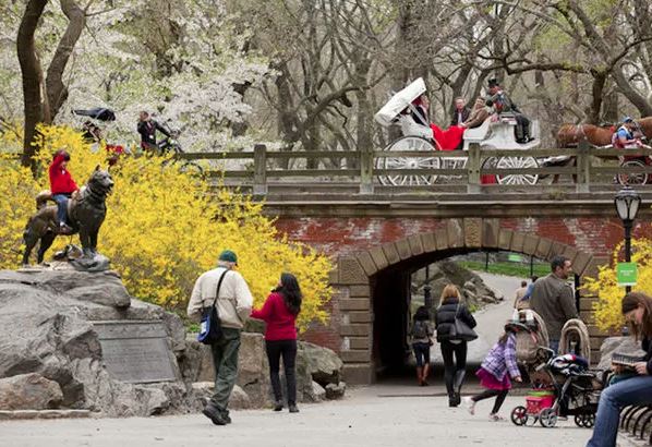 Unlocking the Secrets of Central Park's Attractions - centralparkfun ...